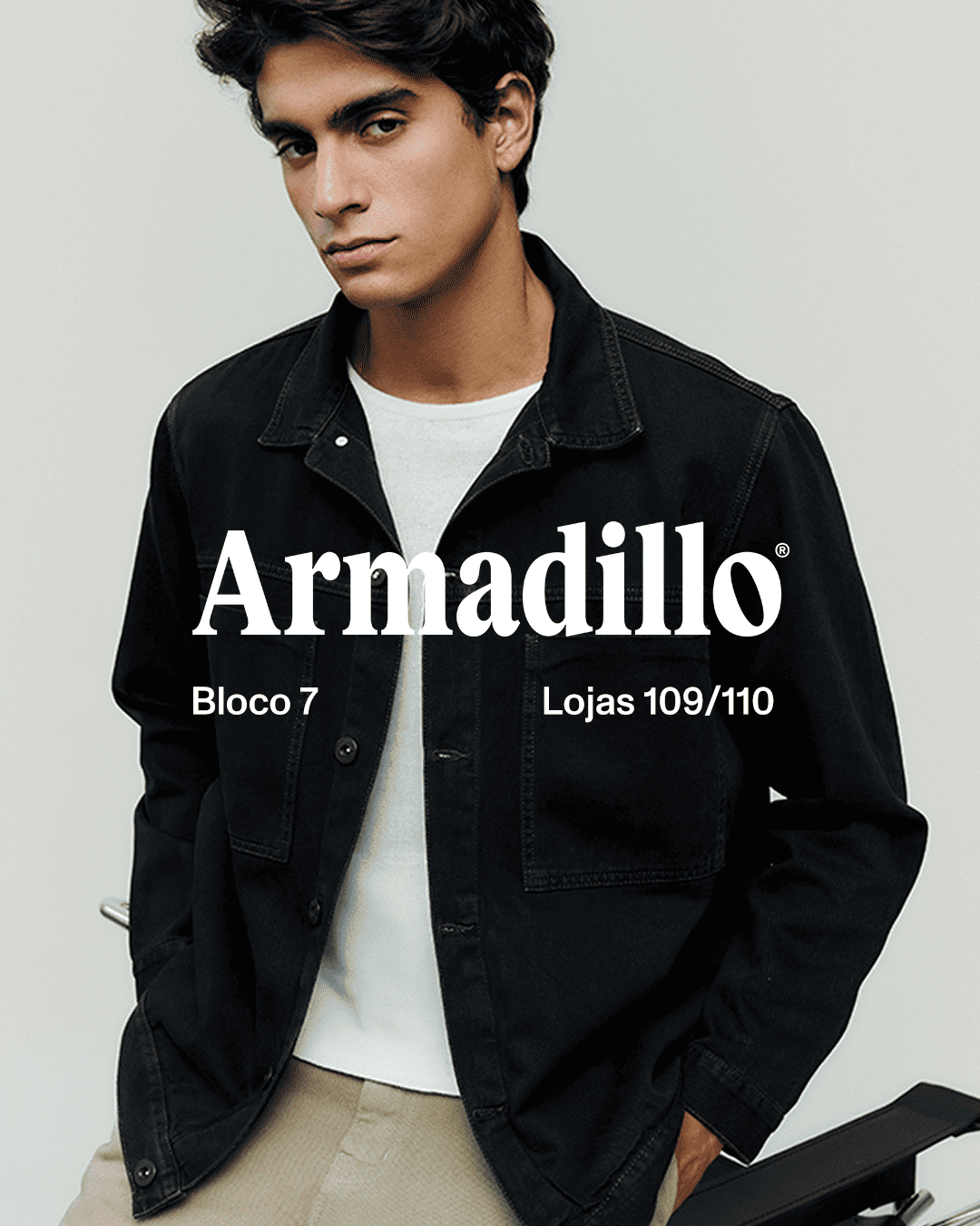  Armadillo